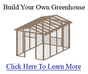 Building Your Own Greenhouse