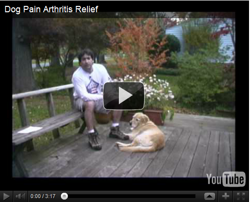pet pain relieve