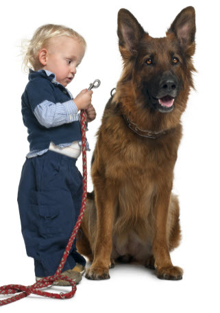 Introducing the Family Dog to the New Baby german shepherd and baby