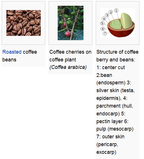 Gano Excel Coffee Benefits Versus Decaffeinated Coffee