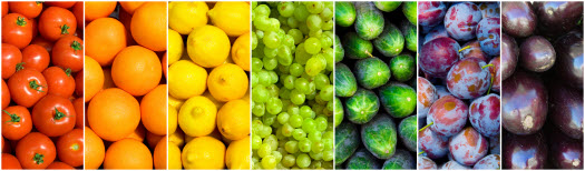 improve eyesight with nutrition