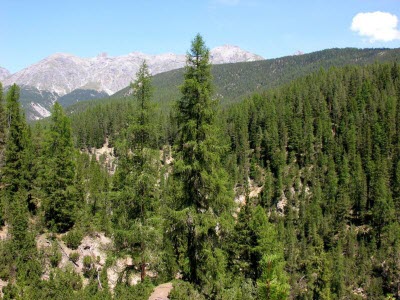 near point stress