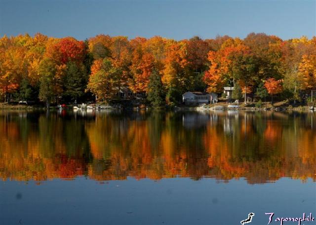 Always See The Beauty